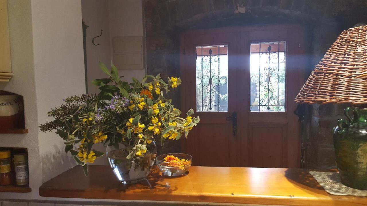 Villa Istrian Stone House Sečovlje Esterno foto