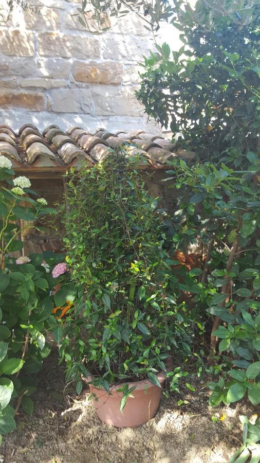 Villa Istrian Stone House Sečovlje Esterno foto