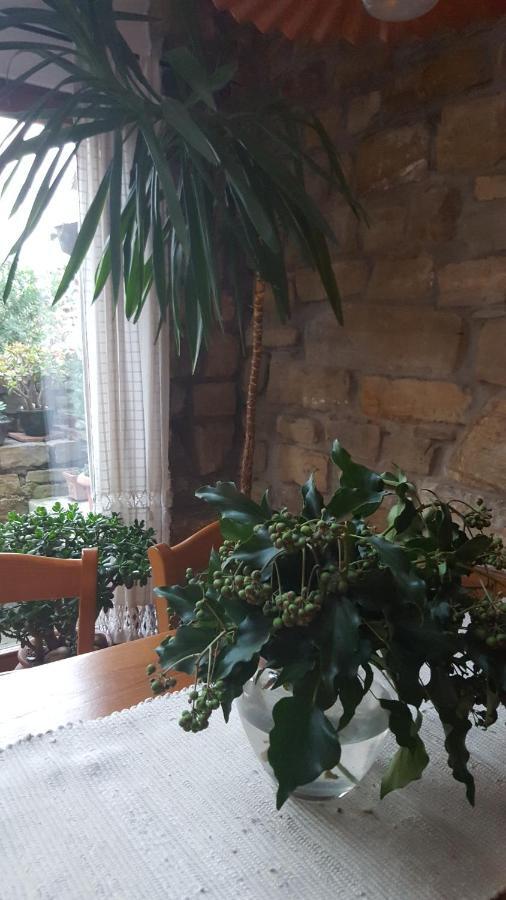Villa Istrian Stone House Sečovlje Esterno foto